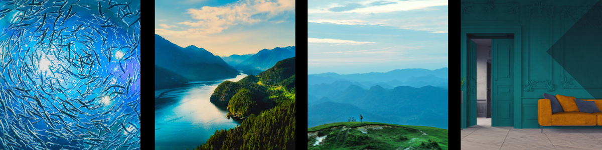 Atelier collectif : le voyage au tambour chamanique