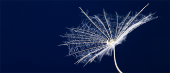 ateliers geobiologie