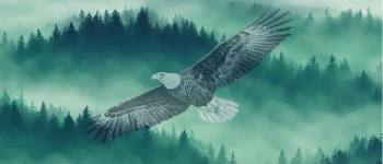 Pratiques chamaniques